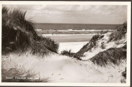 Texel - Museum - 1967 - Texel