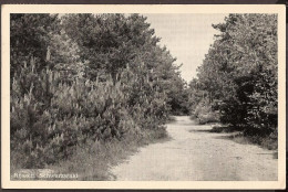 Rijssen (Overijssel) - Schwarzwald - 1955 - Rijssen