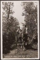 Putten - Terug Van Den Arbeid - Paard En Wagen  - 1952 - Putten