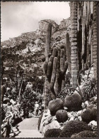 Monte-Carlo - Je Jardin Exotique Et La Tête De Chien Avec Walker - 1964 - Exotic Garden