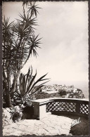 Monaco - Le Rocher Vu De La Terrasse Du Jardin Exotique - 1949 - Las Terrazas