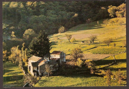 St-Pons - Campagne De Brassac - Près De St-Pons - Parc Naturel Regional Du Haut-Languedoc - 1984 - Saint-Pons-de-Thomières