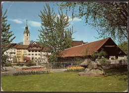 Olten - Wildschwein - Wild Boar - Olten