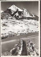 Obertoggenburg - Wildhaus Mit Schafberg - 1962 - Wil