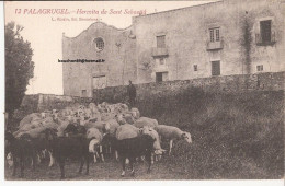 Espagne Palagrugel Hermita De Sant Sebastia Cabra Moutons Chevre Goat - Gerona