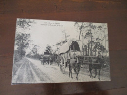 CPA 40 Landes Attelages De Mules Sur La Route - Other & Unclassified