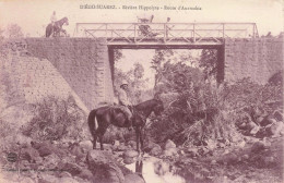 MADAGASCAR - Diégo Suarez - Rivière Hippolyte - Route D'Anamakia - Carte Postale Ancienne - Madagascar