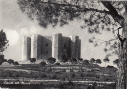 CARTOLINA  ANDRIA,PUGLIA-CASTEL DEL MONTE-STORIA,MEMORIA,CULTURA,RELIGIONE,IMPERO ROMANO,BELLA ITALIA,VIAGGIATA 1958 - Andria