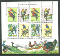 POLAND MNH ** 3868-3871 En Feuille Complète. FAUNE. OISEAU. OISEAUX. PERROQUET. OISEAUX D'ELEVAGE EXOTIQUES - Feuilles Complètes