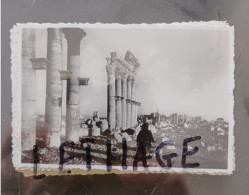 SYRIE PALMYRA MONUMENTAL COLUMNS PHOTOGRAPH EARLY 1900s #1/92 PAPER VELOX - Asie