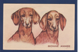 CPA 1 Euro Chien Teckel Dackel Dachshund Non Circulé Prix De Départ 1 Euro - Dogs