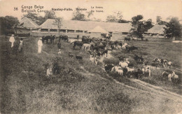 CONGO - Stanley Falls - Romée - La Ferme - Carte Postale Ancienne - Congo Belga