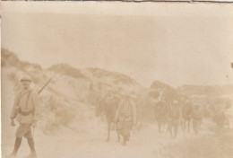 Photo 14 18 KOKSIJDE (Coxyde) - Troupes Belges Dans Les Dunes, Cavaliers, Soldats (A252, Ww1, Wk 1) - Koksijde