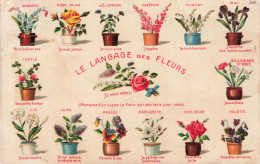 FANTAISIE - Le Langage Des Fleurs  - Carte Postale Ancienne - Autres & Non Classés