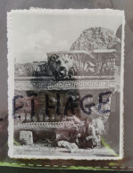 LIBAN BAALBEK ORNEMENT FRISE ET CORNICHE DU GRAND TEMPLE PHOTOGRAPH EARLY 1900s #1/113 PAPER VELOX - Asie