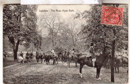 ANGLETERRE - LONDRES - LONDON - THE ROW - HYDE PARK - HORSES - CHEVEAUX - Hyde Park