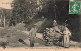 PHOTOGRAPHIE - Dans La Montagne - Descente Du Bois - Carte Postale Ancienne - Photographie