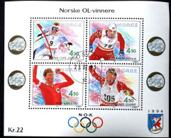 Norvège Noorwegen Norway 1993 Yvertn° Bloc 19 (o) Obltéré Cote 10 € Jeux Olympiques Lillehammer - Blocchi & Foglietti