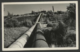 00818*SYRIA*HOMS*GAS/OIL PIPELINE*REAL PHOTO*1959 - Syrie