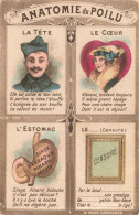 FANTAISIES - Anatomie Du Poilu - Colorisé  - Carte Postale Ancienne - Männer