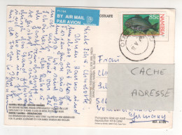 Timbre , Stamp " Poisson "  Sur CP , Carte , Postcard Du 17/05/95 - Namibia (1990- ...)
