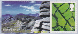 705379 MNH GRAN BRETAÑA. Irlanda Del Norte 2008 EMISION REGIONAL - IRLANDA DEL NORTE - Northern Ireland