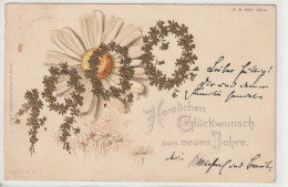 Neujahr 1900 - New Year