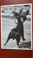 Cogida De Diego Puerta Beziers 1964,  Photo Lucien Clergue - Corrida