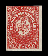 Lot # 262 Newfoundland 6½ Pence, Type B - Sonstige & Ohne Zuordnung