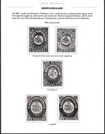 Lot # 275 Newfoundland: Five Different Large Prints Of The 4d To 1s. - Otros & Sin Clasificación