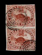 Lot # 452 1853, Beaver, 3d Brown Red Vertical PAIR - Oblitérés