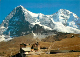 Switzerland Kleine Scheidegg - Egg