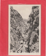 LL.21 . AMELIE-LES-BAINS . ENTREE DES GORGES  DU MONDONI . CARTE NON ECRITE - Amélie-les-Bains-Palalda