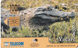 ARGENTINA - Crocodile, Yacare Negro, Telecom Argentina Telecard, Chip GEM1.1, CN : G6A, 10/96, Used - Coccodrilli E Alligatori
