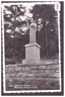 BONCOURT - STATUE DE ST NICOLAS DE FLUE - TB - Boncourt