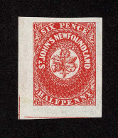 Lot # 260 Newfoundland 6½ Pence. Type A, Untrimmed And Unmarked. - Autres & Non Classés