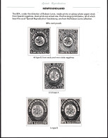 Lot # 275 Newfoundland: Five Different Large Prints Of The 4d To 1s. - Other & Unclassified