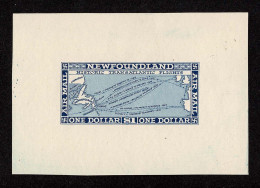 Lot # 423 Newfoundland: Airmail; 1931, Trans- Atlantic $1 In Blue - Sonstige & Ohne Zuordnung