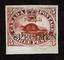 Lot # 426 1851, Beaver, 3d Deep Red, On India Paper Overprinted SPECIMEN, Bottom Sheet Margin Copy - Otros & Sin Clasificación