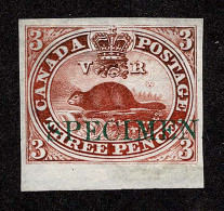 Lot # 426 1851, Beaver, 3d Deep Red, On India Paper Overprinted SPECIMEN, Bottom Sheet Margin Copy - Autres & Non Classés