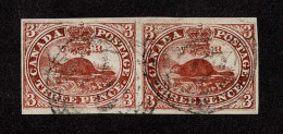 Lot # 451 1853, Beaver, 3d Brown Red PAIR - Oblitérés