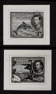Lot # 565 CAYMAN ISLANDS: 1938-48 ½d And 1½ S King George VI Pictorial Photographic Essays Of An Unissued Design Ex De L - Kaimaninseln