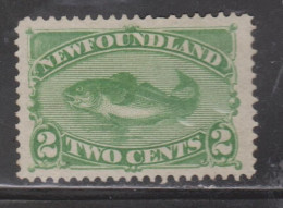 NEWFOUNDLAND Scott # 46 - Mint NO GUM  Early Codfish Issue - 1865-1902