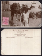 Aden - 1920 - Camels - Ship Of Desert - Yémen