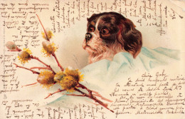 ANIMAUX - Un Petit Chiens Dans Une Couverture - Carte Postale Ancienne - Chiens