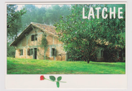 40 - LATCHE - François Mitterrand - Rose - Ed. Photosegor N° 240 - (U012) - Soustons