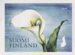 616023 MNH FINLANDIA 2019 CALLA DOMESTIC STAMP - Nuevos