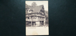 Suisse , Treib , Vierwaldstaettersee Début 1900 - Wald