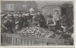 ROYAUME- UNI -  SCOTCH FISHER GIRLS GIPPING  HERRINGS - Lowestoft
