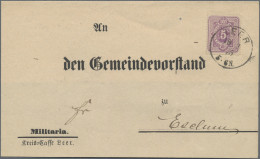 Deutsches Reich - Pfennige: 1875, 5 Pfg Graupurpur In SCHMALEM Format, Einzelfra - Storia Postale